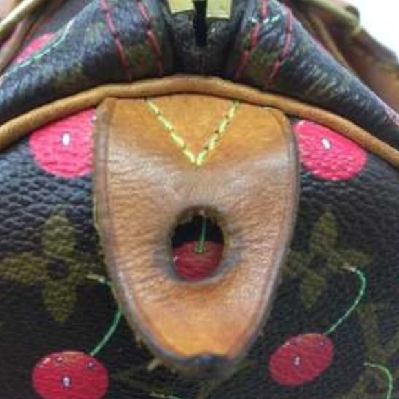 Authentic Louis Vuitton Cherry Cerises Speedy 25 - Picture 12 of 16